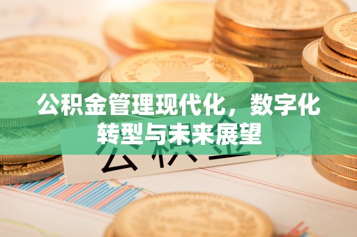 新荣公积金管理现代化，数字化转型与未来展望