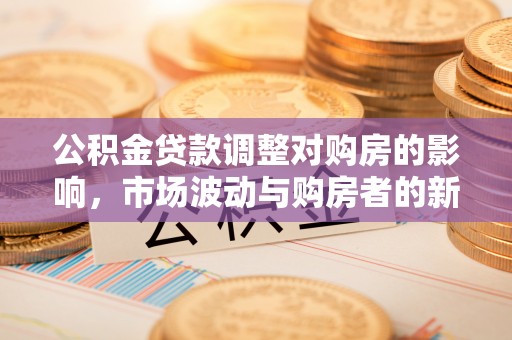新荣公积金贷款调整对购房的影响，市场波动与购房者的新选择