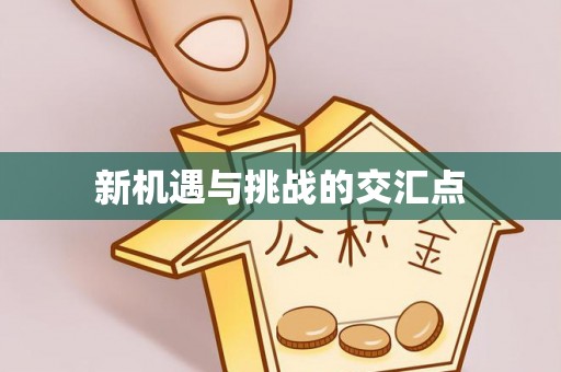 新荣新机遇与挑战的交汇点