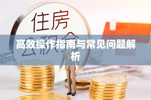 新荣高效操作指南与常见问题解析