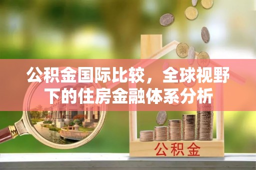 新荣公积金国际比较，全球视野下的住房金融体系分析